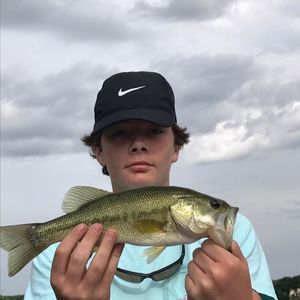 Meet your Posher, Mason