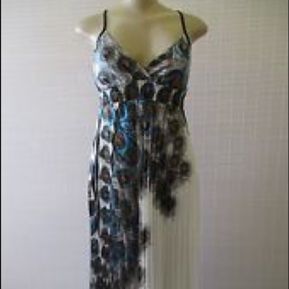 Peacock Maxi Dress