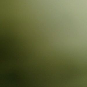 Meet your Posher, Don