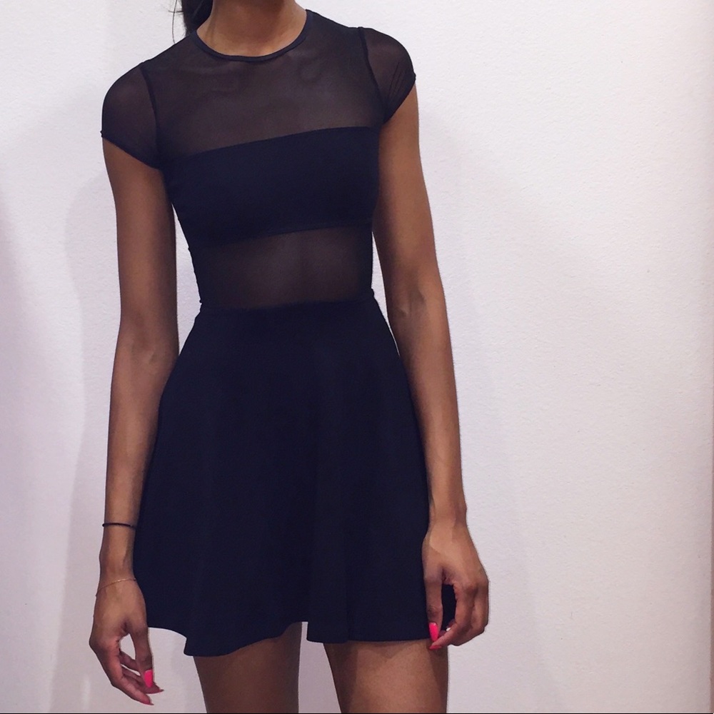 American Apparel Mesh Skater Dress