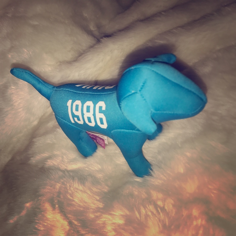 VS BLUE PINK DOG 🔥💙AVLBL FOR offer/trade