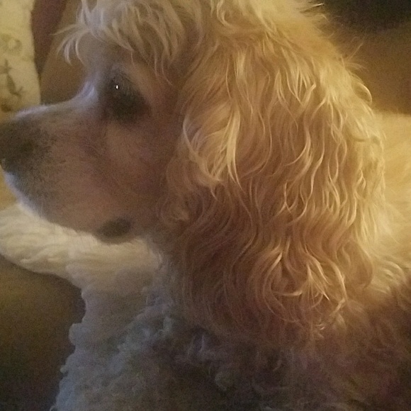 Meet your Posher, Akemi - Picture 1 of 1