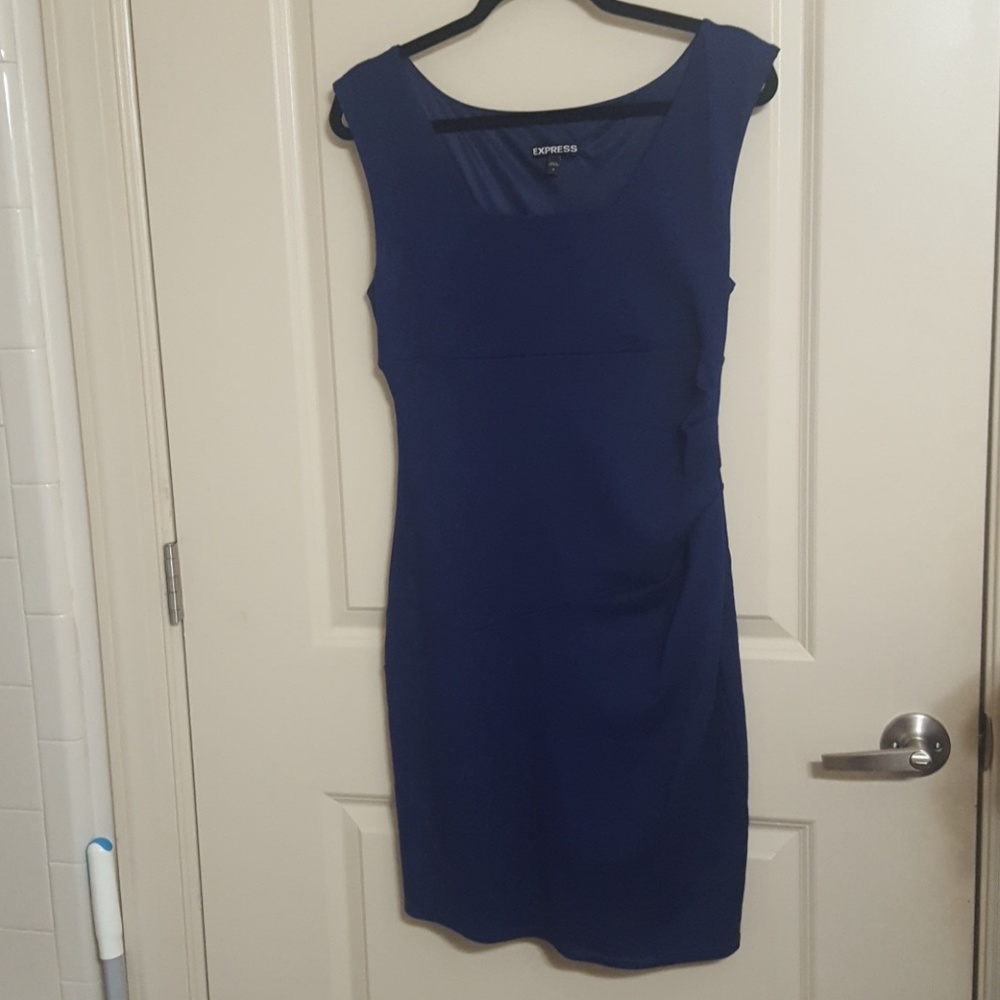 Express Purple Dress