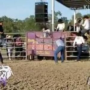 Meet your Posher, Oscar