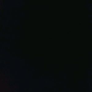 Meet your Posher, Dawson