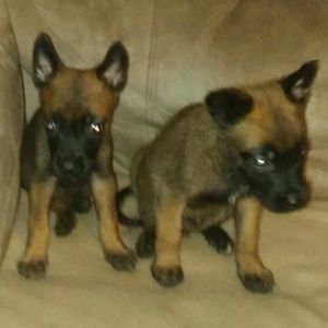 Meet your Posher, Stacey