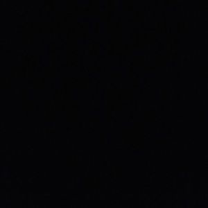 Meet your Posher, Hayden