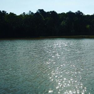 Meet your Posher, Kendrick