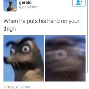 Meet your Posher, Taylor