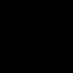 Meet your Posher, Mya