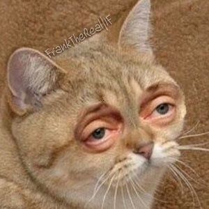 Meet your Posher, Jay