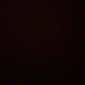 Meet your Posher, Daniela