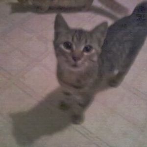 Meet your Posher, Brenda