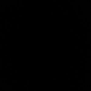 Meet your Posher, Vivi