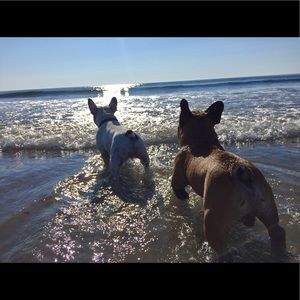 Meet your Posher, Carolyn