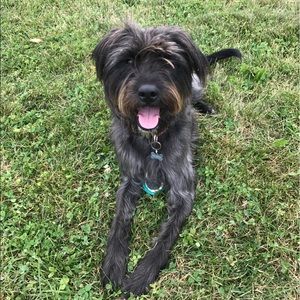 Meet your Posher, Jill