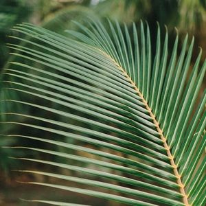 Meet your Posher, Kelli