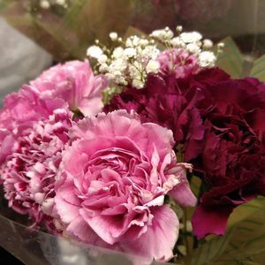 Meet your Posher, Lori