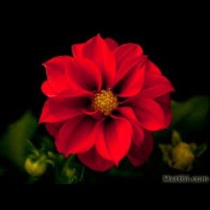 Meet your Posher, Yulissa