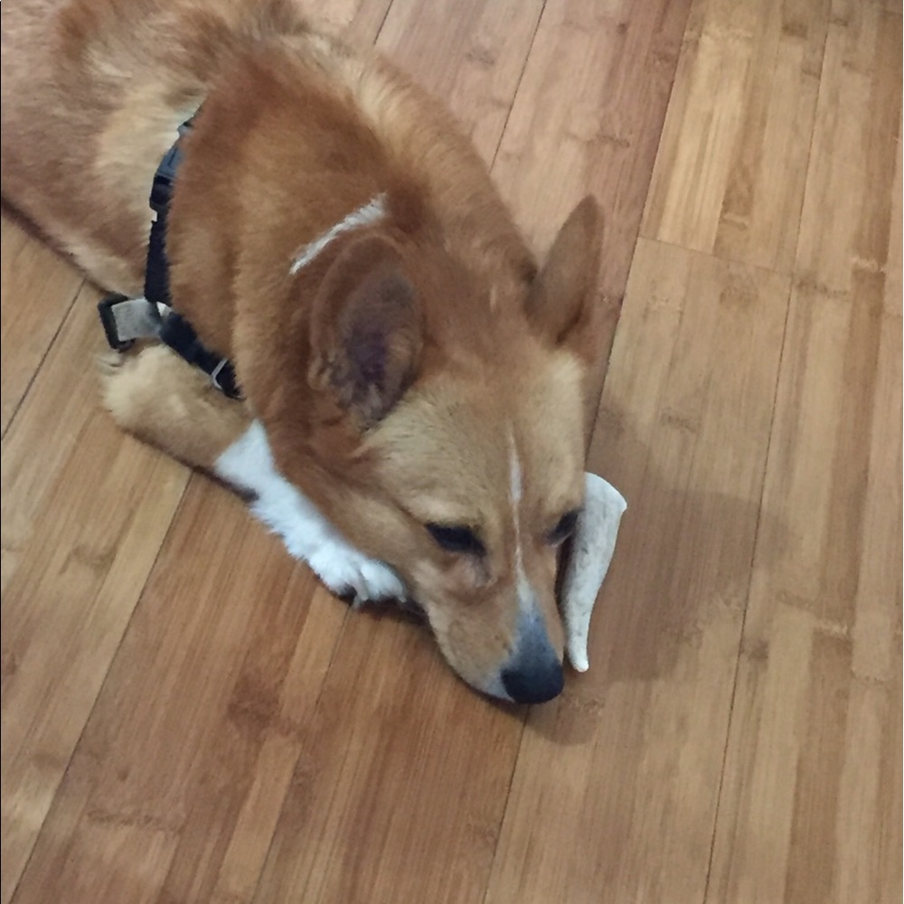 Meet your Posher, Judo