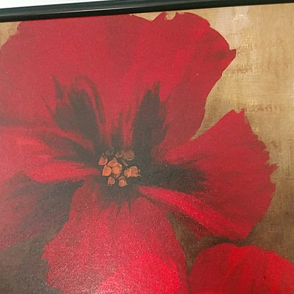 Meet your Posher, Bea