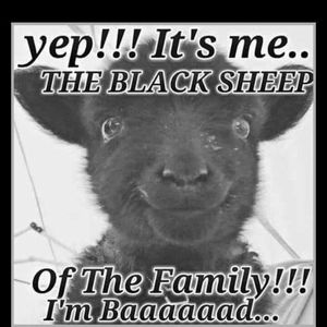 Meet your Posher, Jack