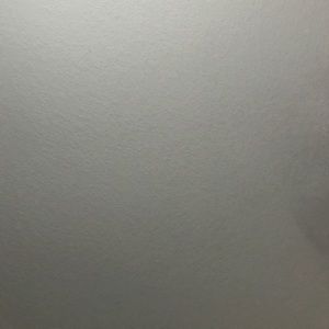 Meet your Posher, Cody