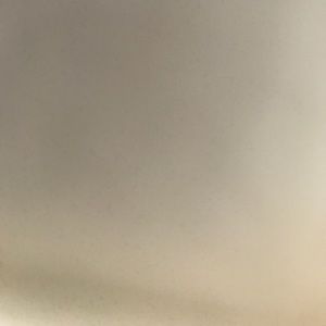 Meet your Posher, Dina