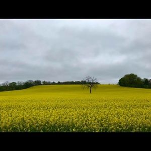 Meet your Posher, Janel