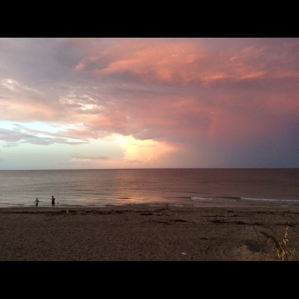 Meet your Posher, Ann