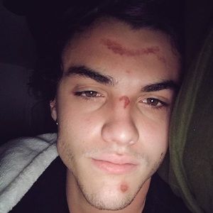 Meet your Posher, Mattie