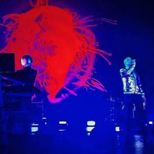 Meet your Posher, George