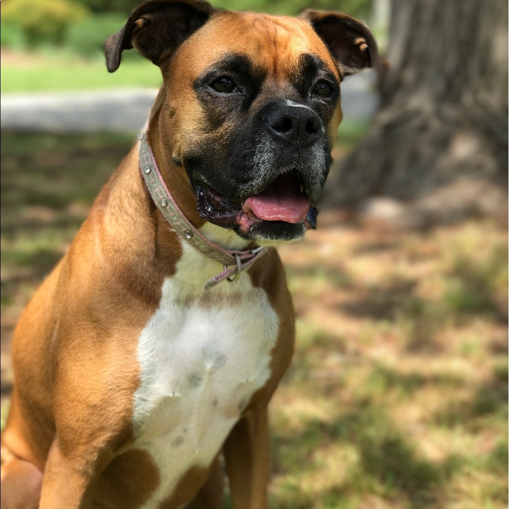 Meet your Posher, Monika