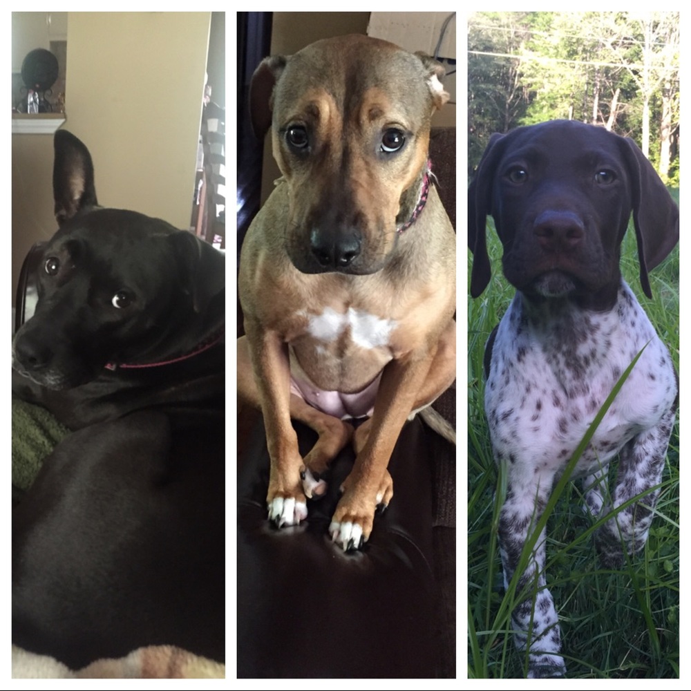 Kimberly*Top Rated Seller*Fast Shipper*