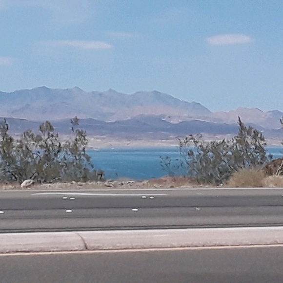 Meet your Posher, Yaz - Picture 1 of 1