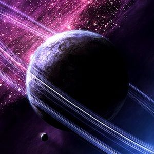 Meet your Posher, Dakota