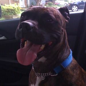 Meet your Posher, Eddie