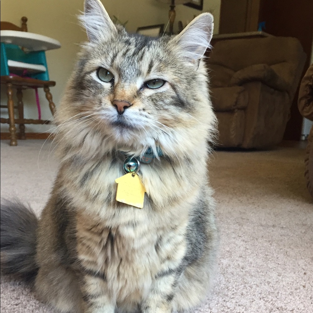 Meet your Posher, Kelly