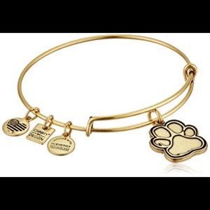 Alex and Ani 2014 Paw Print
