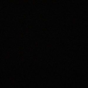 Meet your Posher, Gracey