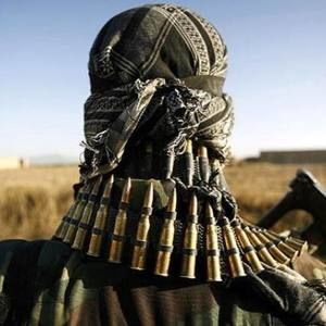 Meet your Posher, Refugio