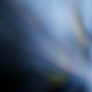 Meet your Posher, Kiley