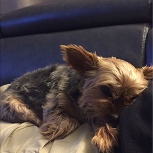 Meet your Posher, Dagmara