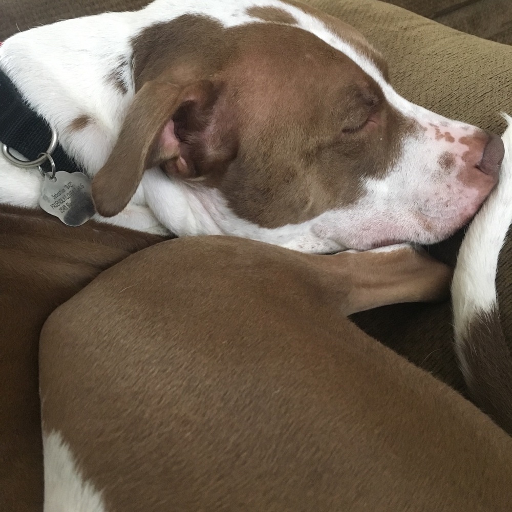 Meet your Posher, Amber