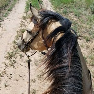 Meet your Posher, Angel