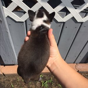 Meet your Posher, Mackenize