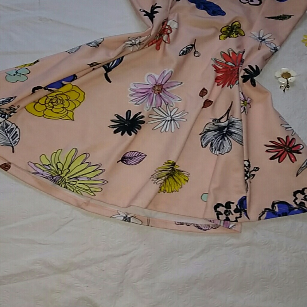 ❌On Hold❌✴Zarra✴🌸Trafaluc🌸Skater Dress - Picture 3 of 6