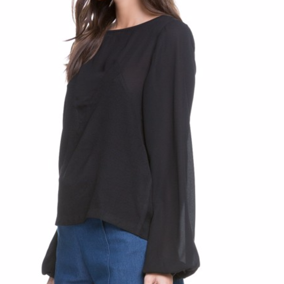 FLASH SALE!! Sheer Long Sleeve Evening Top - Picture 3 of 4