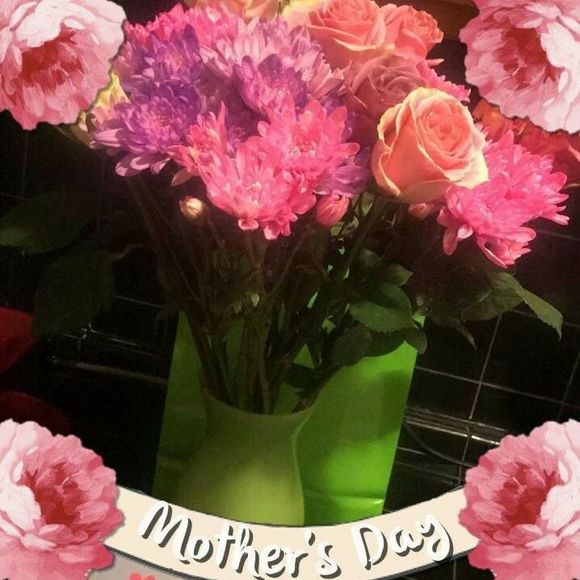 Meet your Posher, Kan - Picture 1 of 1