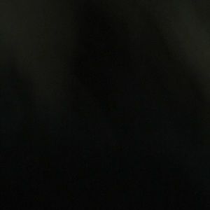 Meet your Posher, Isabella